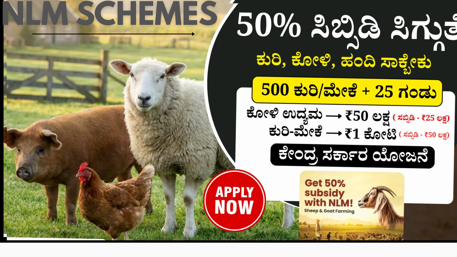 ಸರಕಾರದ ಯೋಜನೆಗಳಿಂದ ತಿಂಗಳಿಗೆ 30,000 ಸಾವಿರ ರಿಂದ 50,000 ಸಾವಿರ ಆದಾಯ ಮಾಡಿ ಮನೆಯಲ್ಲಿ